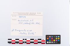Foto von Bronzegefäß (NHMW-PRAE-078104)